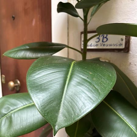 3B Studio Vesuvio ナポリ エクステリア 写真